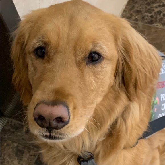 Nice to meet you! - Picture 2 of 2